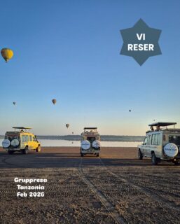 Tre dagar i norra Tanzania – och vi är redan helt golvade. 🤍
Ngorongorokratern levererade från första stund. Att rulla ner i den där gröna, dramatiska kalderan är en upplevelse i sig – och så plötsligt stod den där: noshörningen. Mäktig, urtida och nästan overklig i morgonljuset. Vid rastplatsen höll en maraboustork oss sällskap – långbent och lagom kaxig.
Sedan vidare till Ndutu i Serengeti – och vilka dagar vi fick! Nathalie & Robin svävade över savannen i ballong medan vi andra mötte soluppgången på morgonsafari. Dimman lättade, ljuset blev gyllene och savannen vaknade.
Och sedan… kattdjur deluxe. 2 leoparder, 4 geparder och flera lejon.
Lägg därtill migrationen – enorma mängder gnuer och zebror som rör sig över slätterna, giraffer i silhuett och ett konstant myller av fåglar. På väg mot centrala Serengeti passerade vi fler hjordar och en hel samling flodhästar innan vi landade på Kenzan Kati Kati för natten.
Nu är vi fyllda av intryck – och i morgon flyger vi vidare mot Zanzibar. Från savannens dramatik till Indiska oceanens turkosa lugn.
Äventyret fortsätter.
//Ella