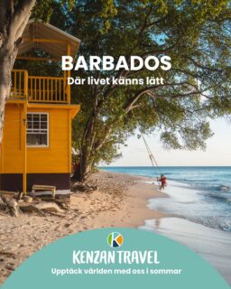 𝐁𝐚𝐫𝐛𝐚𝐝𝐨𝐬 𝐩𝐚̊ 𝐬𝐨𝐦𝐦𝐚𝐫𝐞𝐧 – 𝐊𝐚𝐫𝐢𝐛𝐢𝐞𝐧 𝐦𝐞𝐝 𝐥𝐮𝐠𝐧𝐚𝐫𝐞 𝐭𝐞𝐦𝐩𝐨
Vill du resa till Karibien när det är som mest avslappnat? Sommaren på Barbados bjuder på varma hav, frodig grönska och färre besökare.
Här väntar mjuka sandstränder, kristallklart vatten och en kultur där brittiskt arv möter karibisk livsglädje. Det är också en utmärkt tid för snorkling, dykning och roadtrips längs kusten.
𝐒𝐨𝐦𝐦𝐚𝐫𝐡𝐨̈𝐣𝐝𝐩𝐮𝐧𝐤𝐭: Crop Over-festivalen fyller ön med rytmer, färger och feststämning,en unik upplevelse under sommarmånaderna.

Nyfiken på en sommaresa till Barbados? Du hittar oss här:
 📞08 30 21 03
 📩info@kenzantravel.se
https://www.kenzantravel.se/barbados/