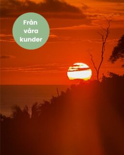 Här kommer en hälsnings från Costa Rica🇨🇷:
"Igår kom vi hem från vår fantastiska resa till Costa Rica. 😀
Allt har fungerat toppenbra förutom att vi blev försenade på hemresan, men så kan det ju vara när man är på resande fot.
Utflykterna vi bokade genom er var jättebra och vi bokade även in en del på egen hand.
Det funkade även bra med hyrbilen som du hjälpte oss att boka! Den stackars bilen fick utstå en hel del skumpiga och konstiga vägar, men allt gick bra! 😉
Efter att vi blivit transporterade till Tamarindo fortsatte vår färd till Samara, Santa Teresa, Manuel Antonio och en avslutande eftermiddag/natt i San José." Lena & Göran

Tack för att ni valde att resa med oss!!/Kenzangänget