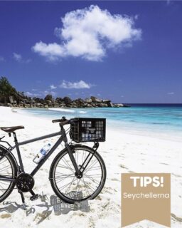 Seychellerna är så mycket mer än vykortsvackra stränder. Det är cykeln som väntar i hamnen på La Digue. Morgondopp innan stranden vaknar. Vägar som slingrar sig genom Mahés berg. Vandringar i sagolandskap. Färgrika solnedgångar som får tiden att sakta ner. Och mycket, mycket mer.
Efter många resor mellan Mahé, Praslin och La Digue har vi samlat några av våra personliga favoritupplevelser på Seychellerna.
➔ Läs hela guiden via länken i bion @kenzantravel 
#seychellerna #kenzantravel #attgöraseychellerna #skräddarsyddaresor