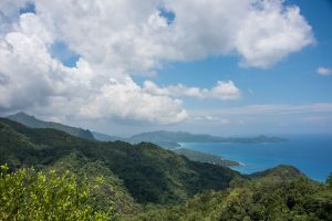 Landskab med grøn jungle og hav i baggrunden på Seychellerne