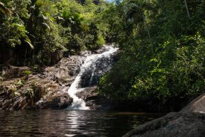 Vandfald over sten omgivet af jungle på Seychellerne