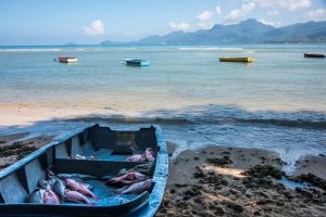 Rokbåd med fisk i på en sandstrand på Seychellerne