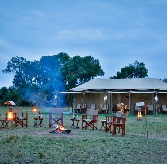 Safari i Tanzania, tented camp