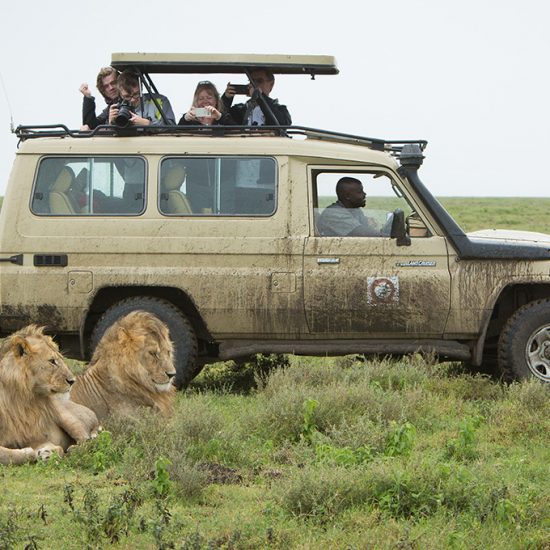 Safari i Tanzania, safaribil