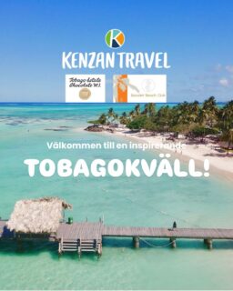 Tisdag den 5 maj bjuder vi in dig till en Tobagoafton på Small Island Chocolates. Följ med på en inspirerande resa och upptäck varför Tobago är ett av Karibiens mest älskade resmål.

Kvällens program:

Olle Stålberg från Kenzan Travel delar med sig av sina erfarenheter av Tobago och berättar varför du inte bör missa denna pärla.

Duane Dove, grundare av Tobago Cocoa Estate, tar dig med in i kakaons värld. Han berättar om sin plantage, bjuder på smakprov av rom och choklad samt ger en inblick i vår resa Kulinariska Tobago.

Gloria Jones Knapp, ägare av Bacolet Beach Club, har rest hela vägen från Tobago för att dela med sig av sina bästa tips om öns stränder, livsstil och sitt hotell.

Datum: 5 maj 2026
Tid: kl. 17.00–19.00
Plats: Small Island Chocolates, Timmermansgatan 24–26, Stockholm, t-bana Mariatorget

Anmälan:
Anmälan görs genom att mejla ditt namn till info@kenzantravel.se. Din plats är bekräftad först när du har fått en bekräftelse via mejl.

Observera:
Antalet platser är begränsat till 35 personer. Föranmälan krävs och drop-in är inte möjligt.