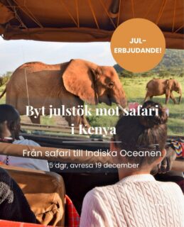 Byt julstök mot savann i Kenya!
Tänk dig att fira jul med elefanter, lejon och andra vilda djur i tre av Kenyas riktigt fina och varierade nationalparker. På den här 15-dagarsresan kombinerar du safari i Meru, Samburu och Lake Nakuru med avkopplande dagar vid Indiska oceanen på Diani Beach.
Nu har vi en sista resa kvar för fyra personer med avresa den 19 december. En möjlighet att samla familjen eller vänner för att fira jul och nyår på ett helt annat sätt, långt från julstöket hemma.
Priset är per person och gäller när ni är fyra som reser tillsammans.
Läs mer om resan på vår hemsida eller slå en signal så berättar vi gärna mer:
📞 08-30 21 03
📩 info@kenzantravel.se
🔗 https://www.kenzantravel.se/resor/julerbjudande-safari-i-kenya-och-stranddagar-vid-diani-beach/
(Klickbar länk i bion @kenzantravel )