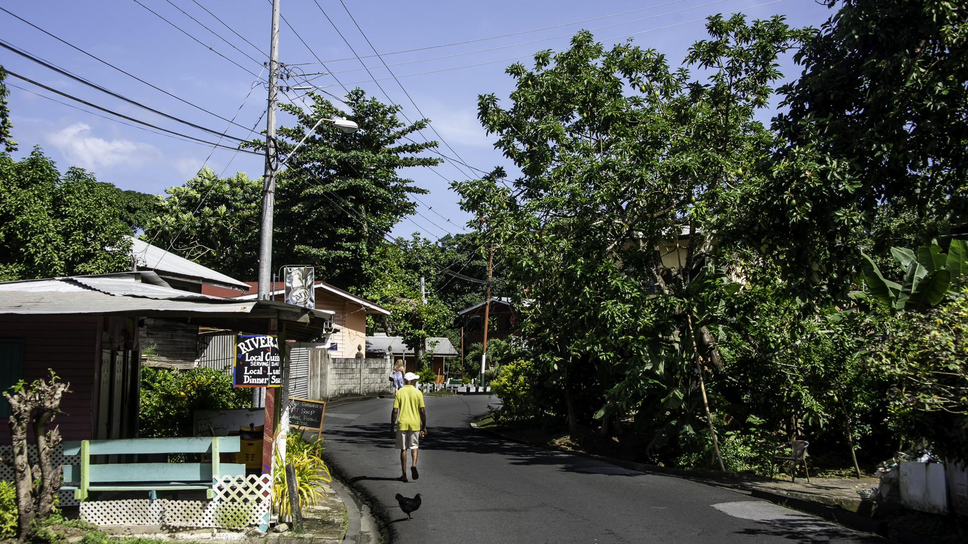Asfalteret vej i en afsidesliggende landsby i Tobago