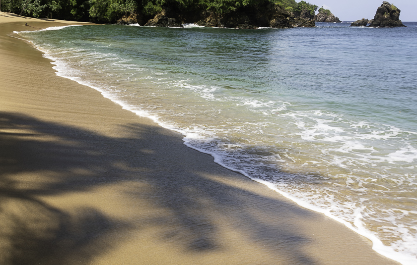 Bølge flyder på en strand med hvidt skum i Tobago