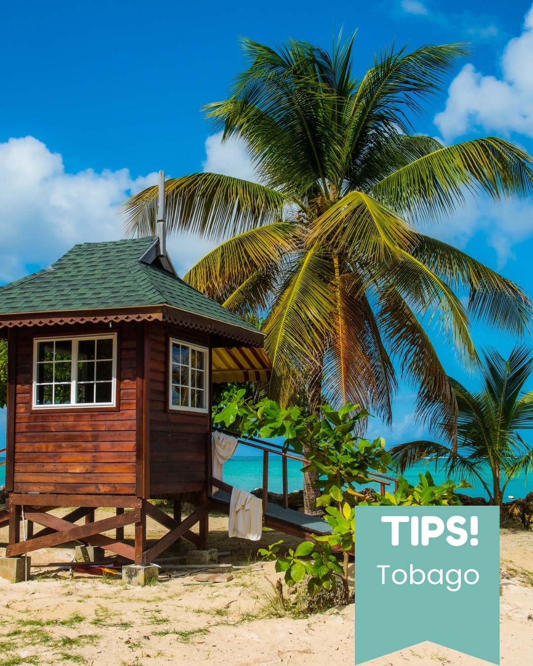 🌴 Tobago – Min karibiska favorit som väntar på att bli din 🌴
Fler än 15 resor senare och jag är fortfarande förälskad. På Tobago möts du av kritvita stränder, turkost vatten, snorkling bland färgglada fiskar och något ännu mer värdefullt – ett tempo som får dig att verkligen landa.

🏝 Favoritstranden? Pigeon Point.
🤿 Bästa snorklingen? Mount Irvine och Englishman’s Bay.
🍹 Härligaste liming-hänget? Traditions Beach Bar.
🌅 Mest magiska boendet? Bacolet Beach Club.

Tobago är – genuint, varmt och fullt av charm!

Fler tips hittar du här: https://www.kenzantours.se/tobago-min-karibiska-favorit-som-vantar-pa-att-bli-din/

Vill du uppleva mitt paradis? Hör av dig så hjälper jag dig dit ✈️
//Carina 💛
📞 08 30 21 03
📩 info@kenzantravel.se